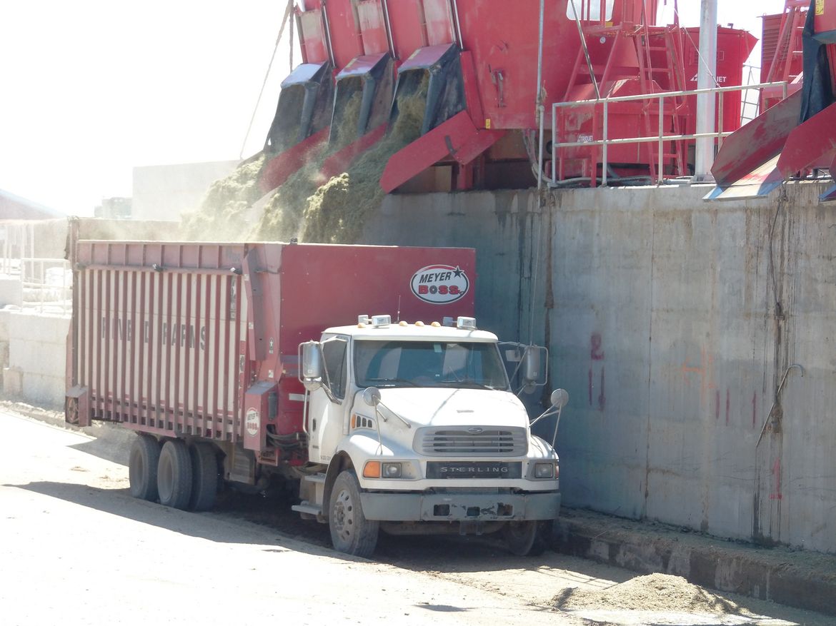Stationary-cattle-feed-wagons-are-known-as-Trioliet