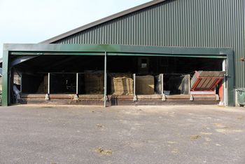 Automatic feeders for cows