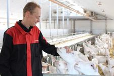 Triomatic T30, automatic feeding